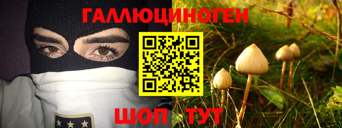как найти закладки  Вход с VPN  Анапа  Галлюциногенные грибы Psilocybe 